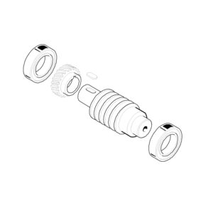 Worm screw
